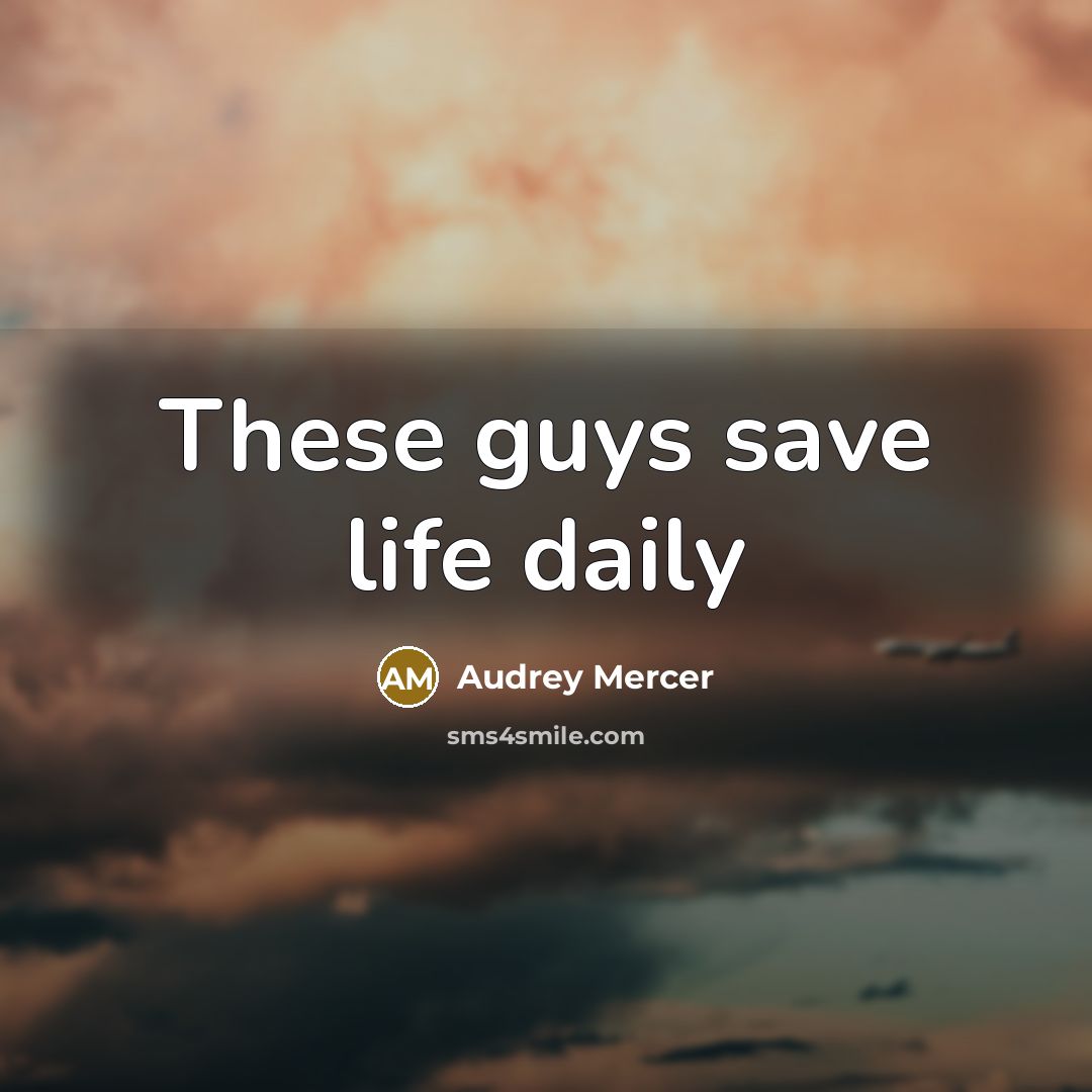“These guys save life daily…” quote by Audrey Mercer