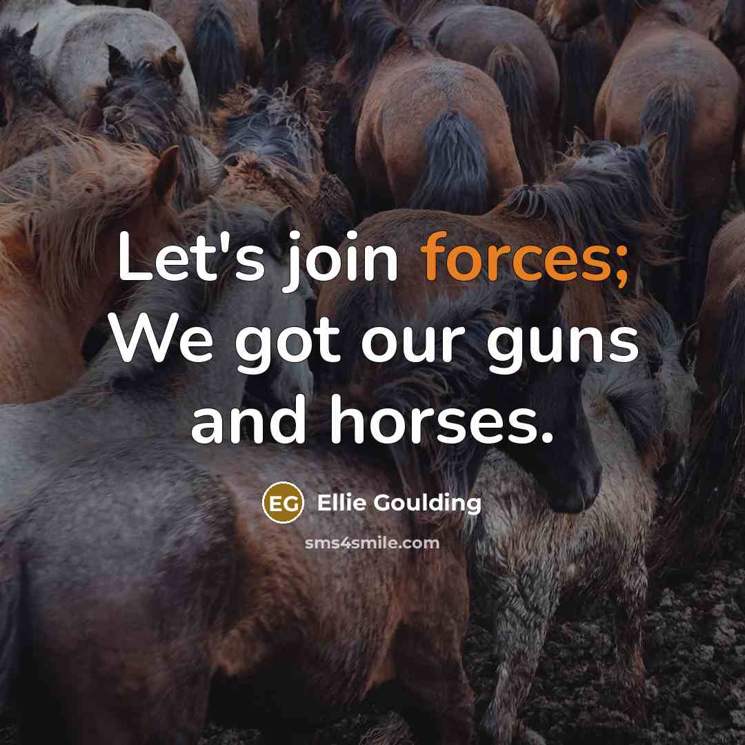 “Let's join forces; We got our guns and horses.” quote by Ellie Goulding