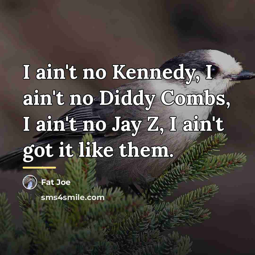 “I ain't no Kennedy, I ain't no Diddy Combs, I…” quote by Fat Joe