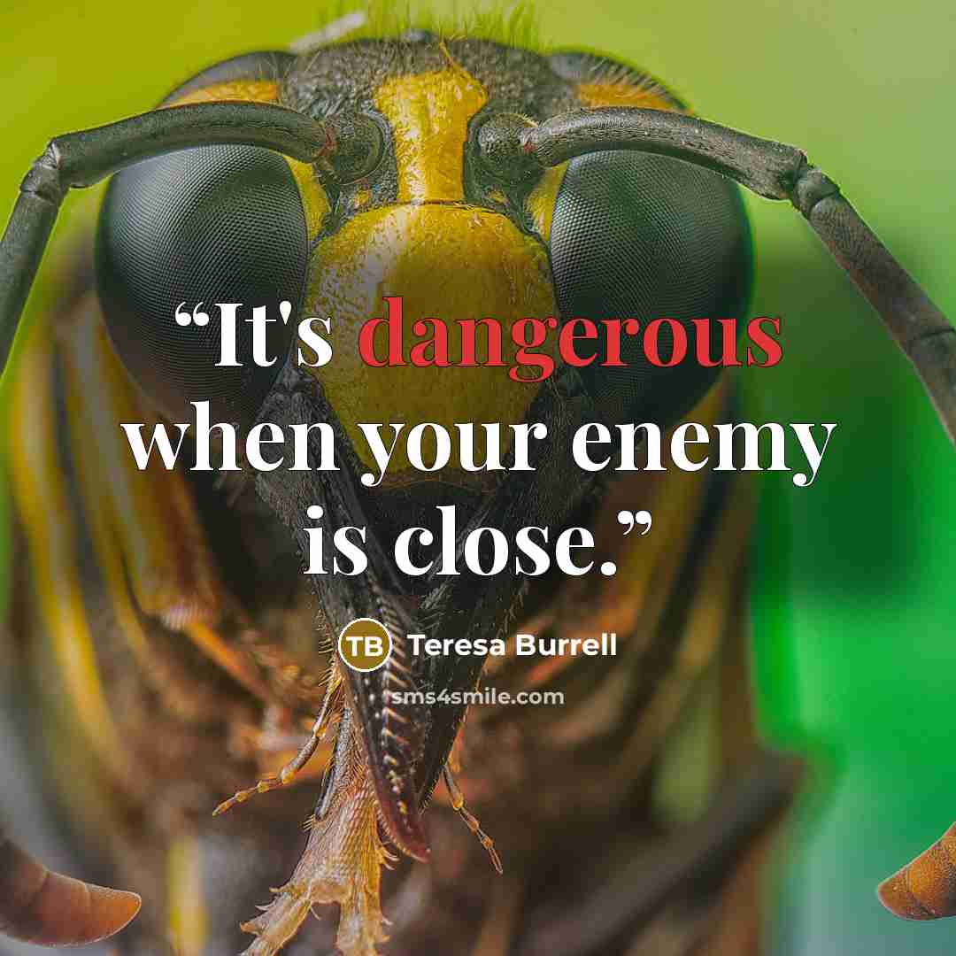“It's dangerous when your enemy is close.” quote by Teresa Burrell