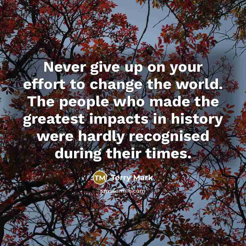 “Never give up on your effort to change the world.…” quote by Terry Mark