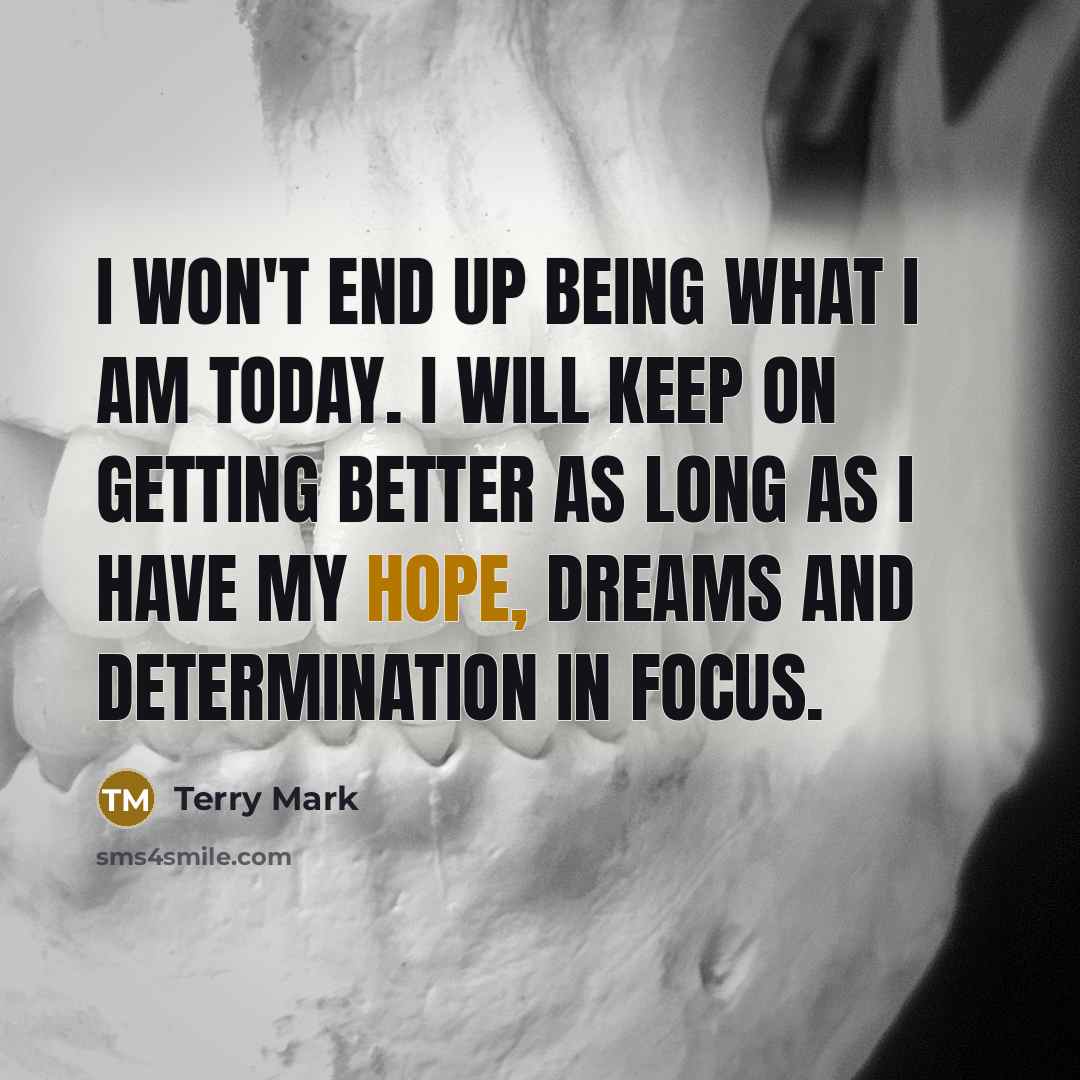 “I won't end up being what I am today. I…” quote by Terry Mark