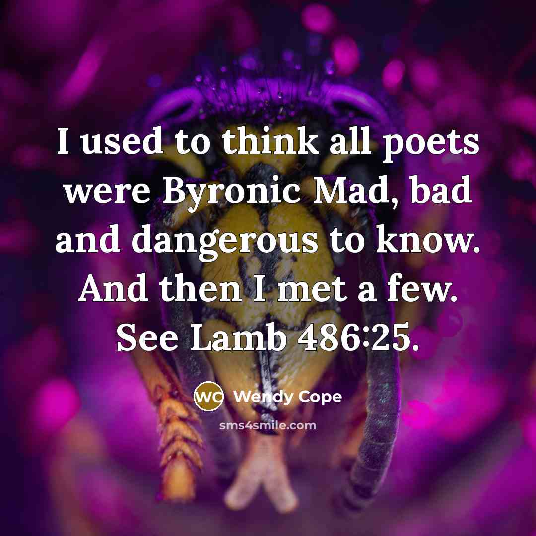 “I used to think all poets were Byronic Mad, bad…” quote by Wendy Cope