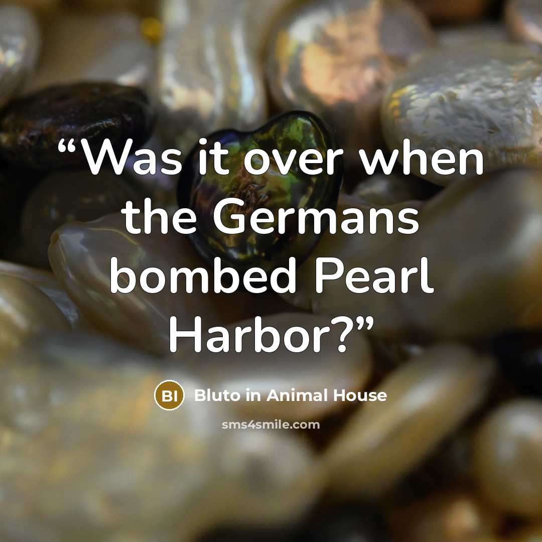 “Was it over when the Germans bombed Pearl Harbor?” quote by Bluto in Animal House