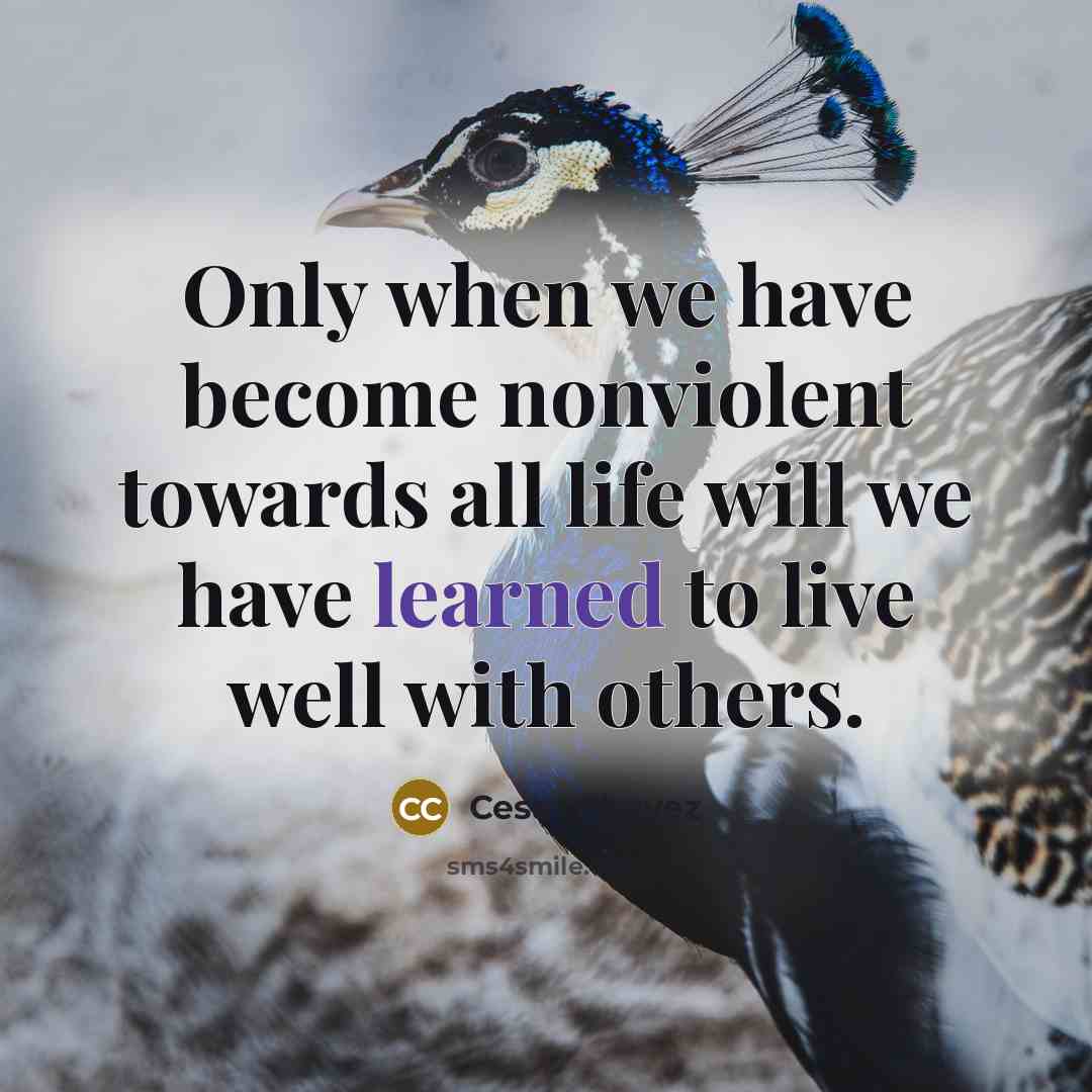 “Only when we have become nonviolent towards all life will…” quote by Cesar Chavez