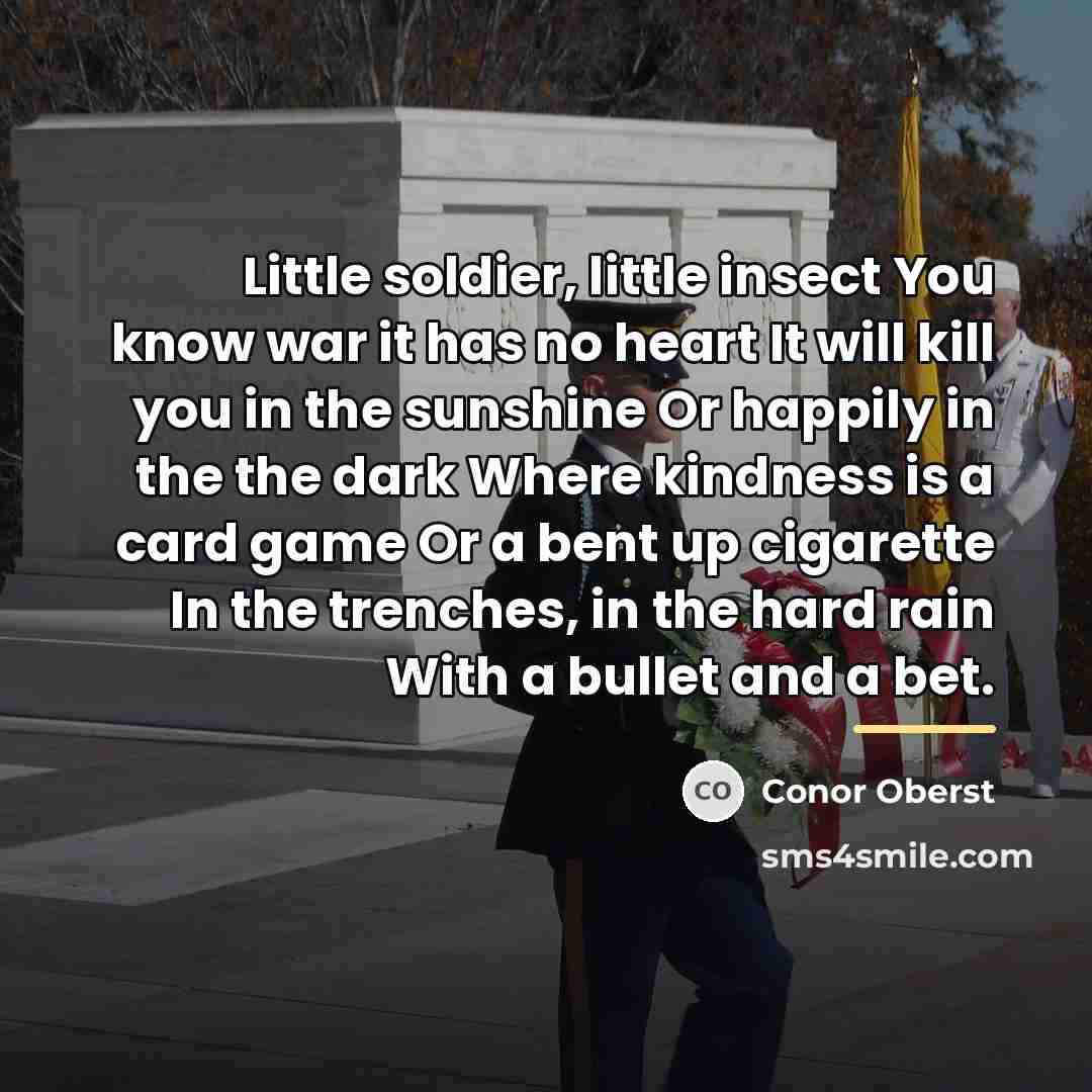 “Little soldier, little insect You know war it has no…” quote by Conor Oberst