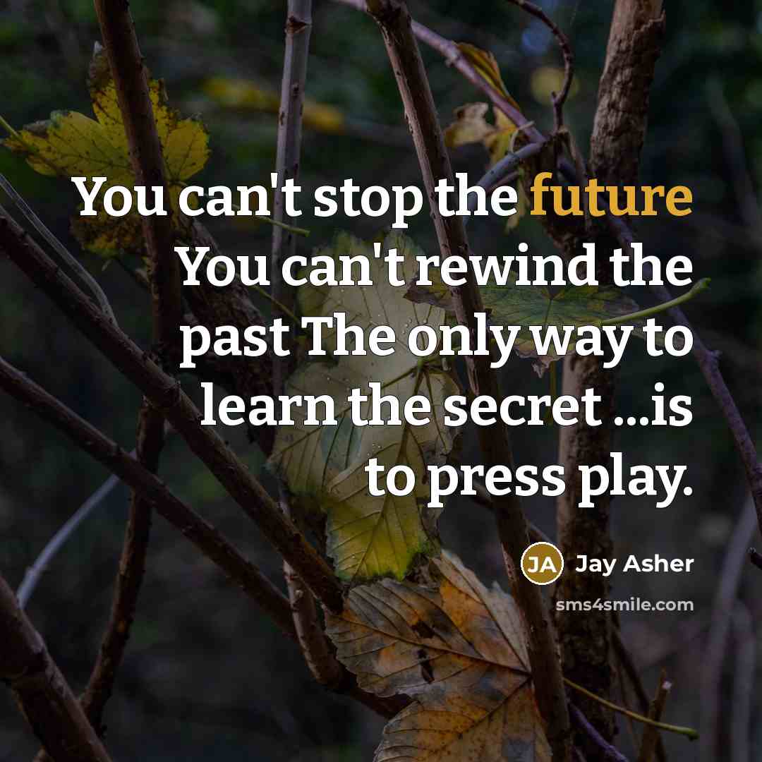 “You can't stop the future You can't rewind the past…” quote by Jay Asher