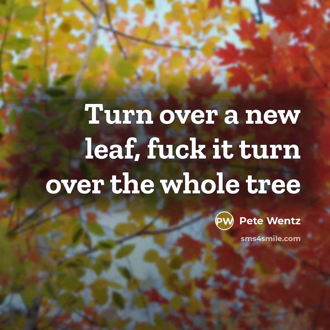 “Turn over a new leaf, fuck it turn over the whole tree” quote by Pete Wentz