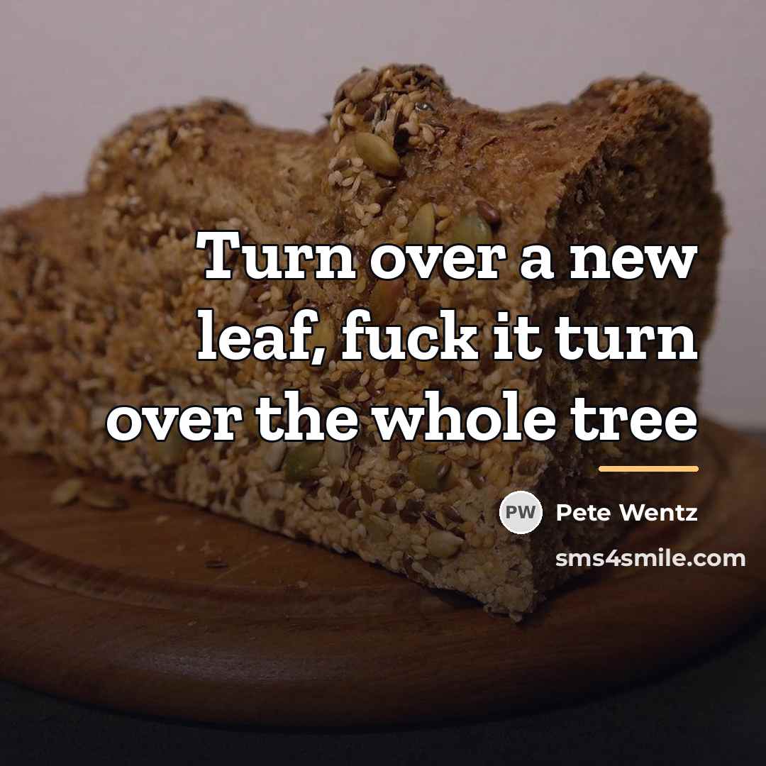 “Turn over a new leaf, fuck it turn over the…” quote by Pete Wentz