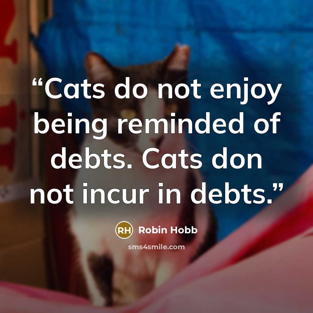 “Cats do not enjoy being reminded of debts. Cats don not incur in debts.” quote by Robin Hobb