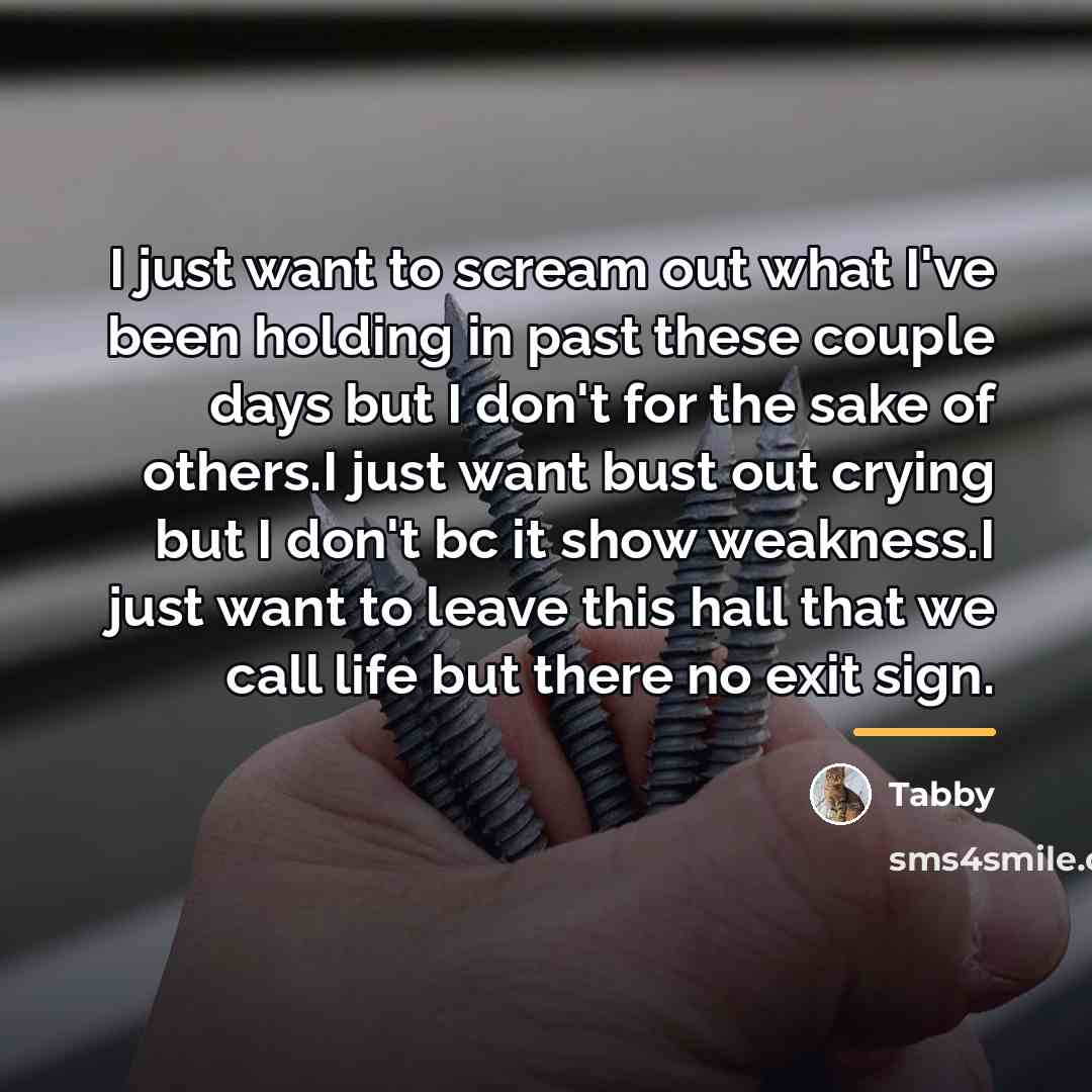 “I just want to scream out what I've been holding…” quote by Tabby