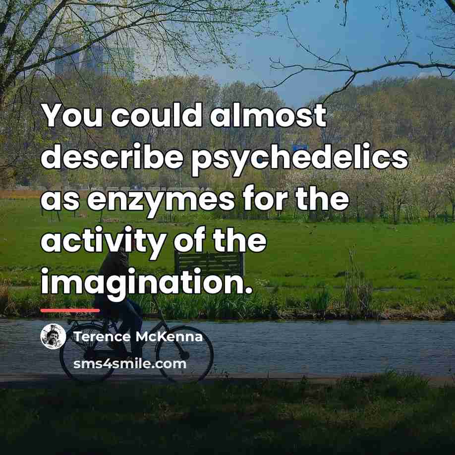 “You could almost describe psychedelics as enzymes for the activity…” quote by Terence McKenna