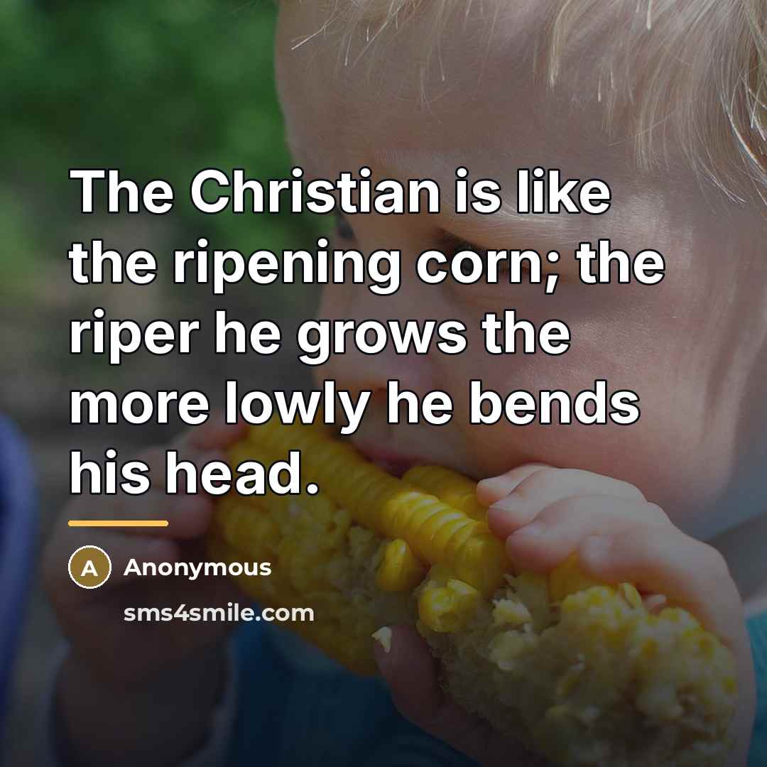 “The Christian is like the ripening corn; the riper he…” quote by Anonymous