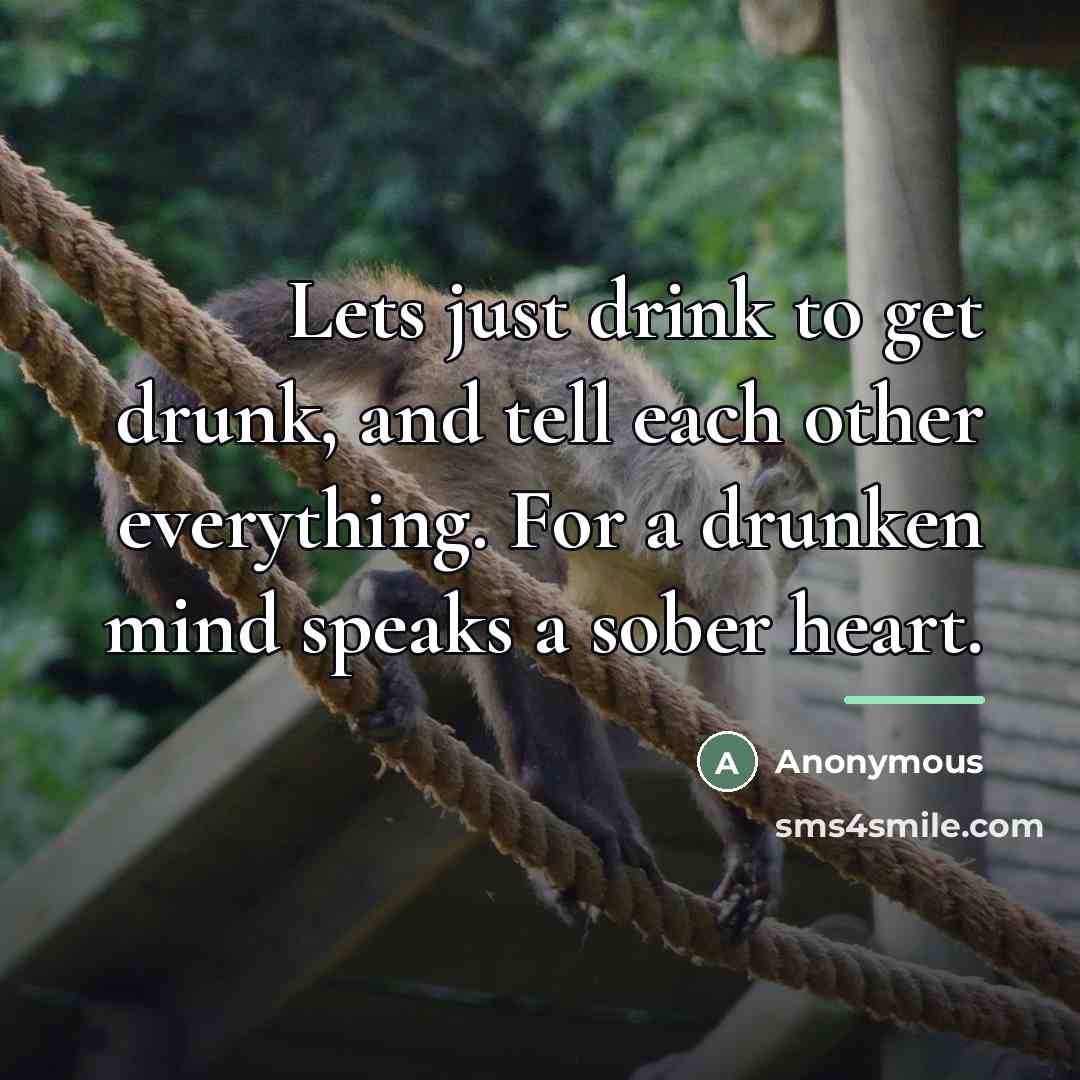 “Lets just drink to get drunk, and tell each other…” quote by Anonymous