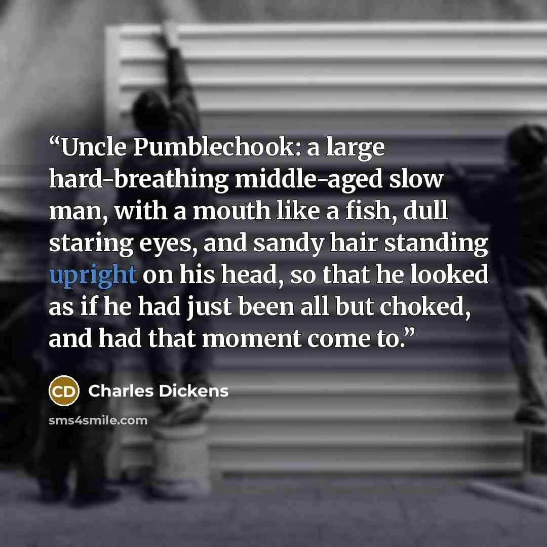 “Uncle Pumblechook: a large hard-breathing middle-aged slow man, with a mouth like a fish, dull staring eyes, and sandy hair standing upright on his head, so that he looked as if he had just been all but choked, and had that moment come to.” quote by Charles Dickens