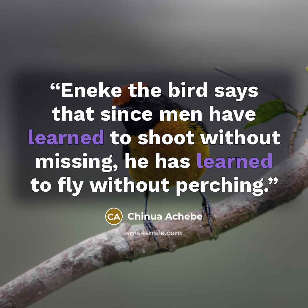 “Eneke the bird says that since men have learned to shoot without missing, he has learned to fly without perching.” quote by Chinua Achebe
