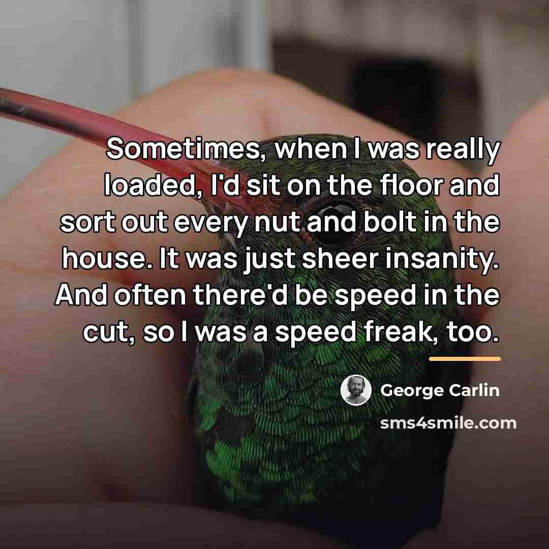 “Sometimes, when I was really loaded, I'd sit on the…” quote by George Carlin