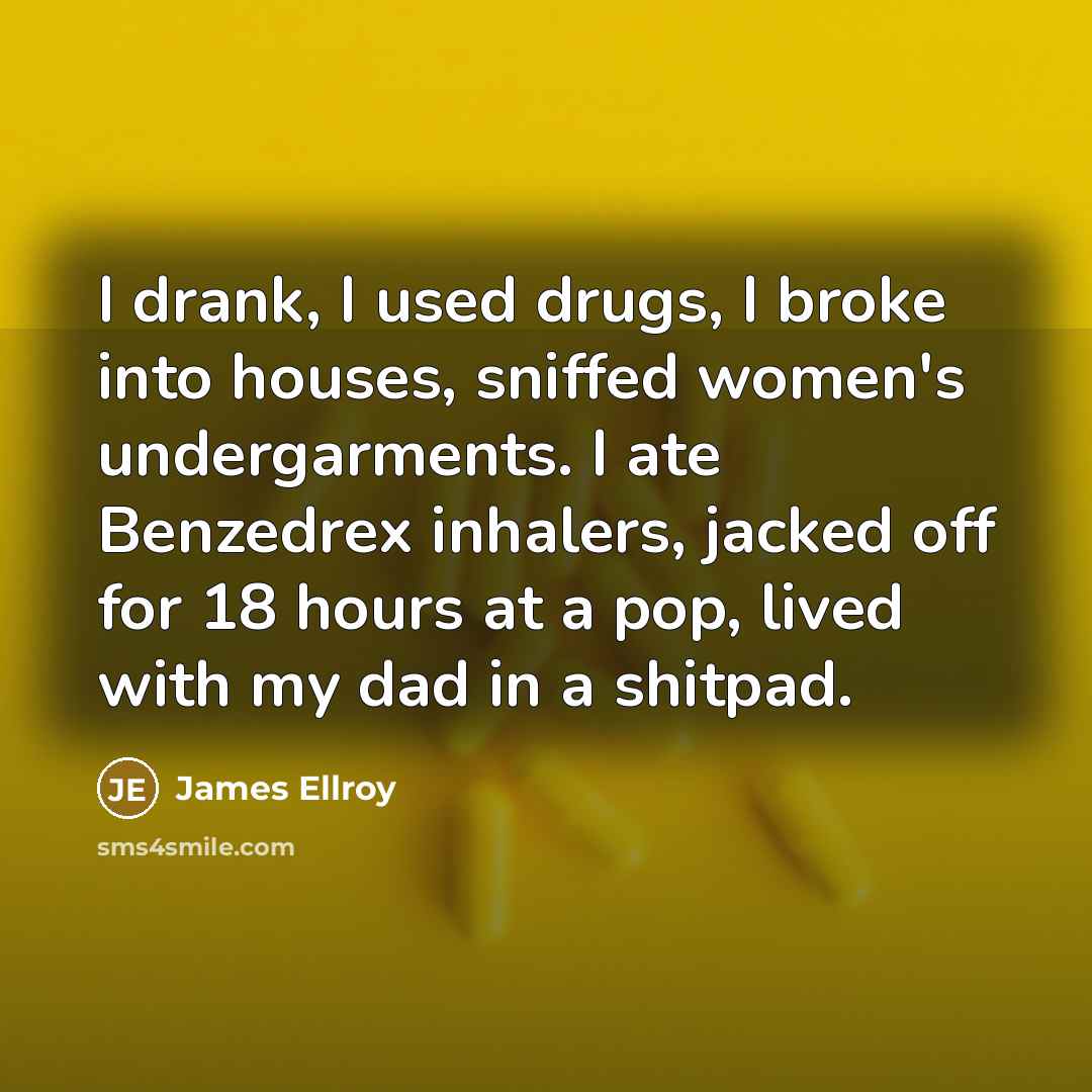 “I drank, I used drugs, I broke into houses, sniffed…” quote by James Ellroy