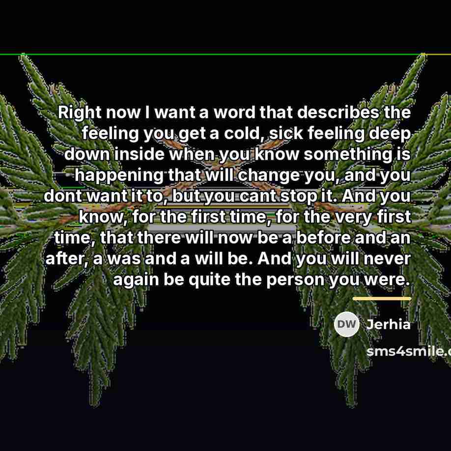“Right now I want a word that describes the feeling…” quote by Jerhia