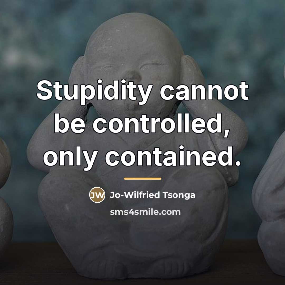 “Stupidity cannot be controlled, only contained.…” quote by Jo-Wilfried Tsonga