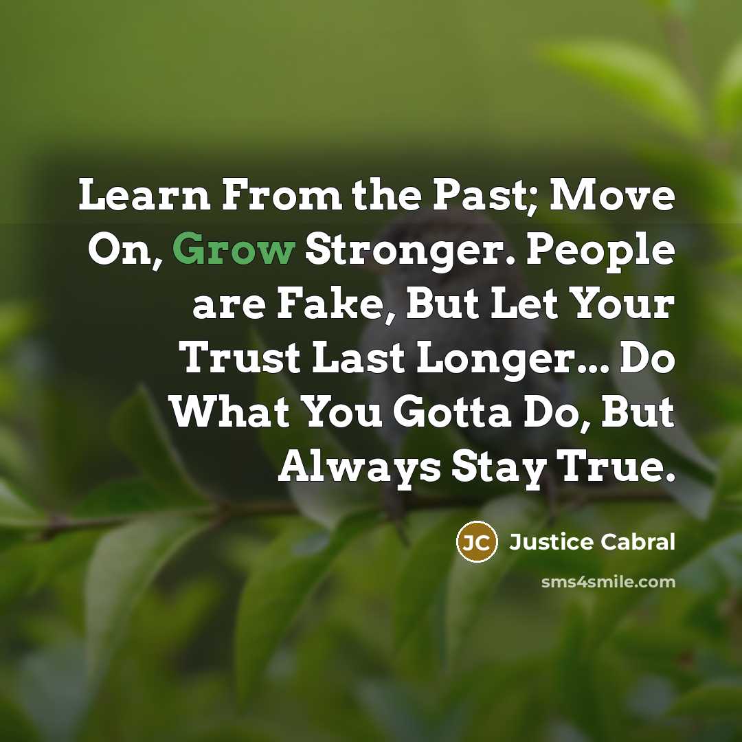 “Learn From the Past; Move On, Grow Stronger. People are…” quote by Justice Cabral