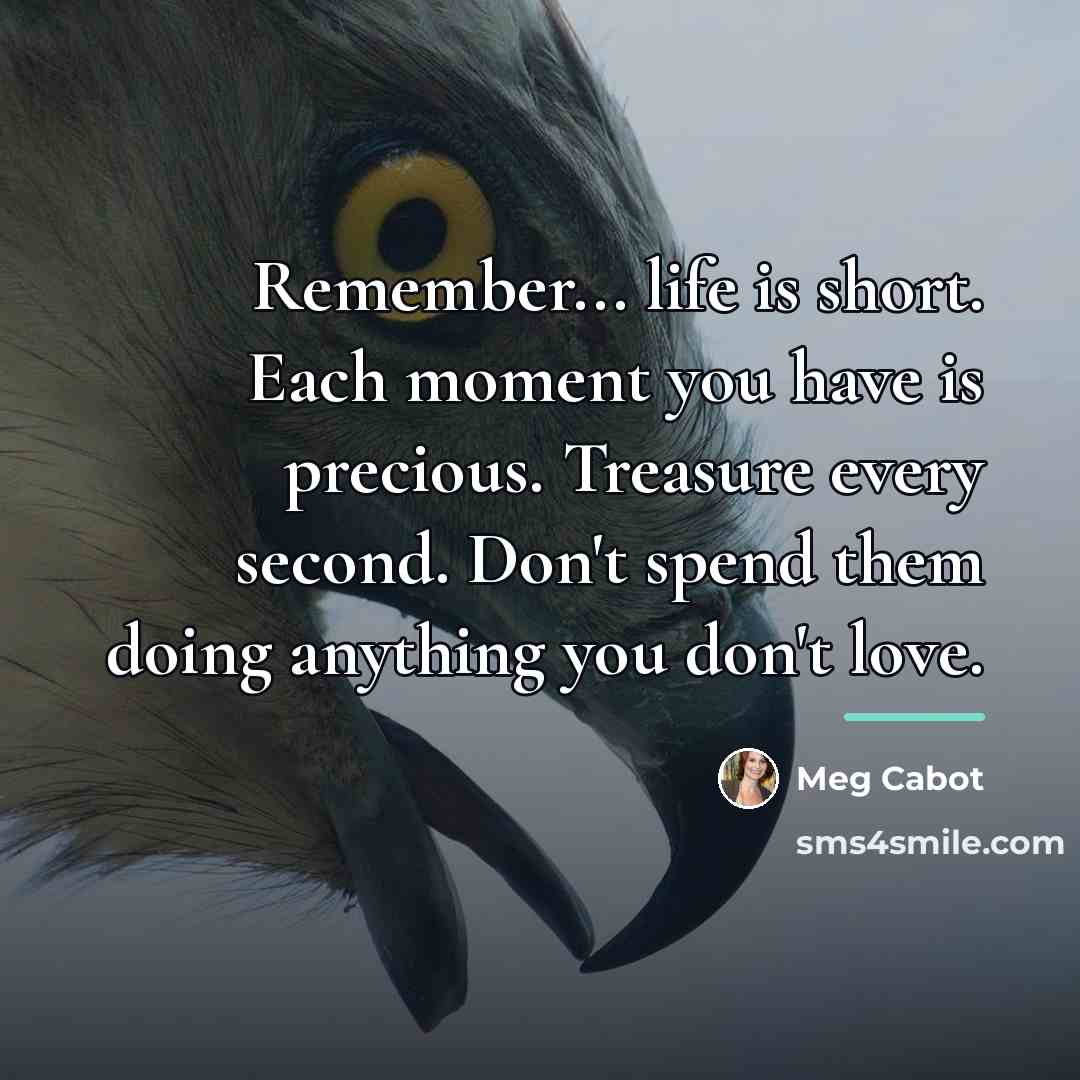 “Remember... life is short. Each moment you have is precious.…” quote by Meg Cabot