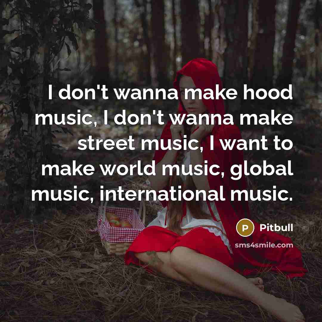 “I don't wanna make hood music, I don't wanna make…” quote by Pitbull