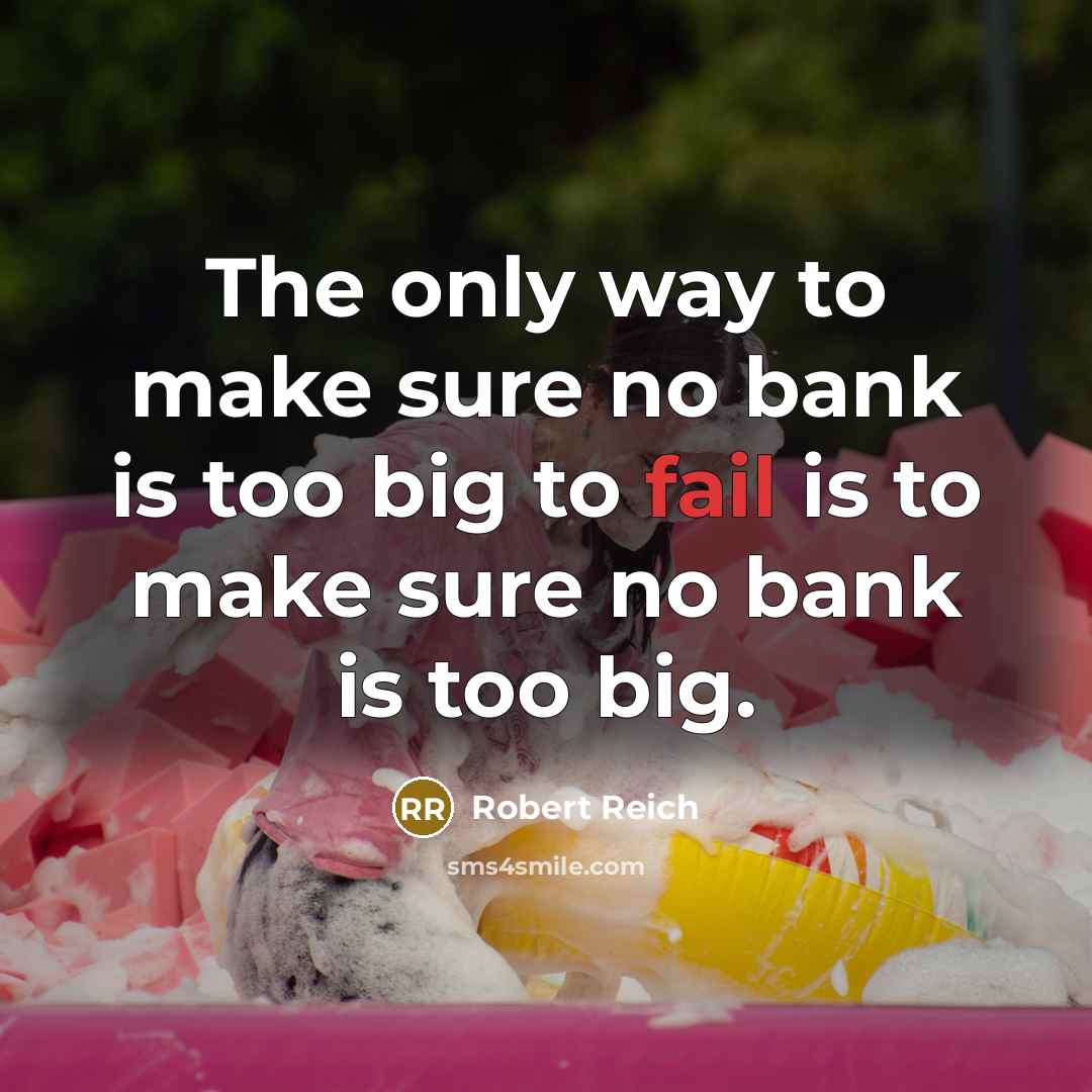 “The only way to make sure no bank is too…” quote by Robert Reich