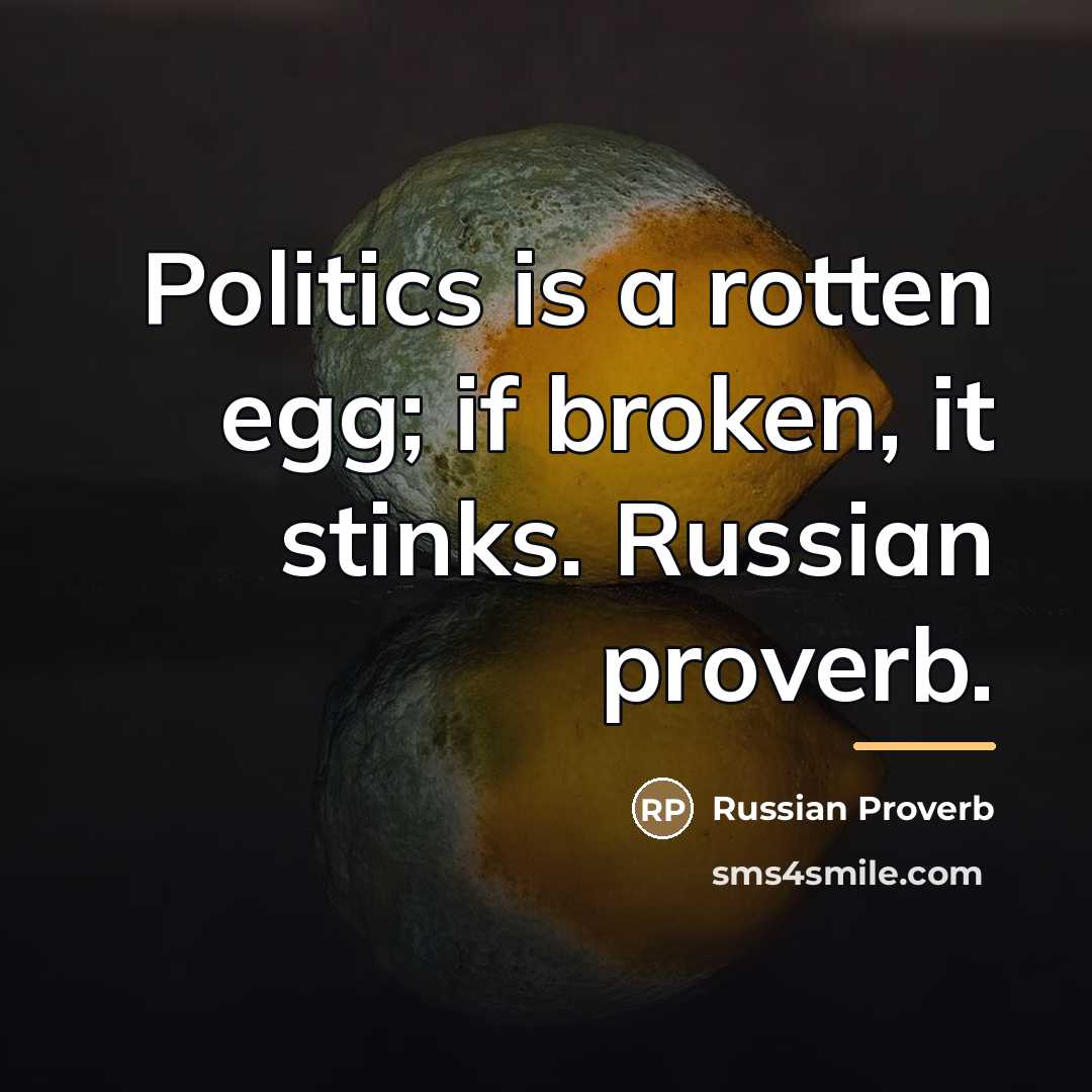 “Politics is a rotten egg; if broken, it stinks. Russian…” quote by Russian Proverb