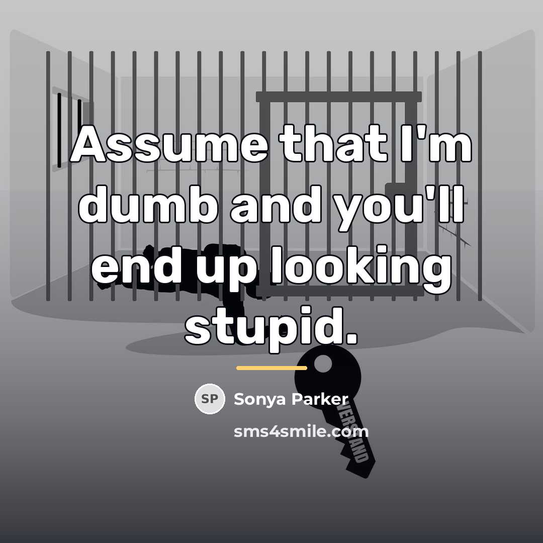 “Assume that I'm dumb and you'll end up looking stupid.…” quote by SONYA PARKER