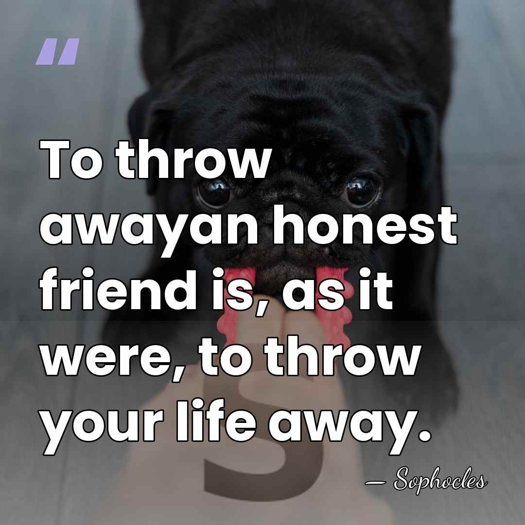 To throw awayan honest friend is, as it were, to throw your&hellip; - Sophocles