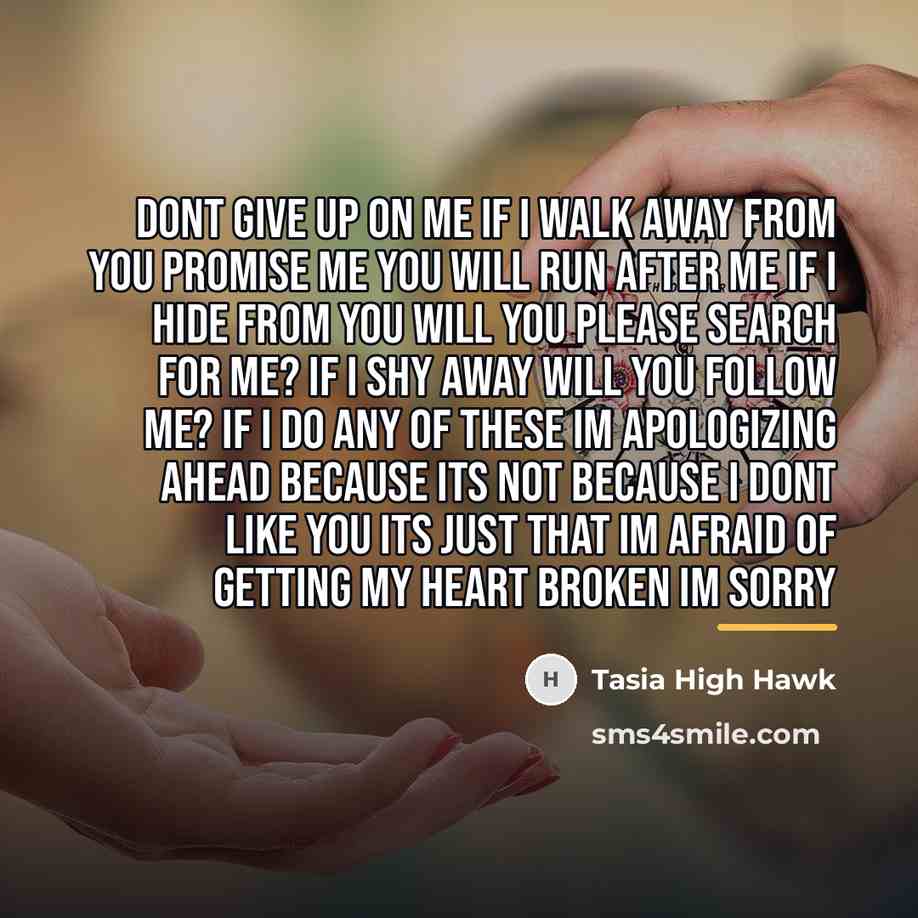 “Dont give up on me If I walk away from…” quote by Tasia High Hawk