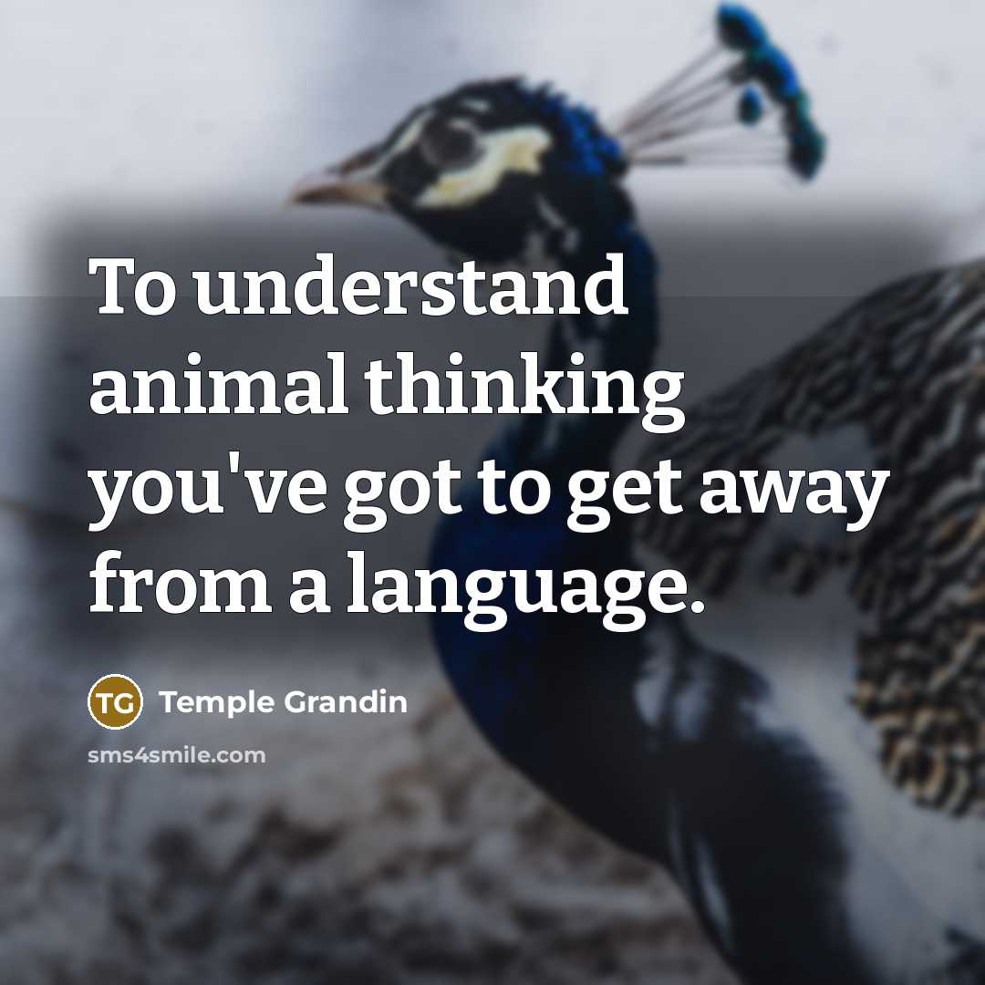 “To understand animal thinking you've got to get away from…” quote by Temple Grandin