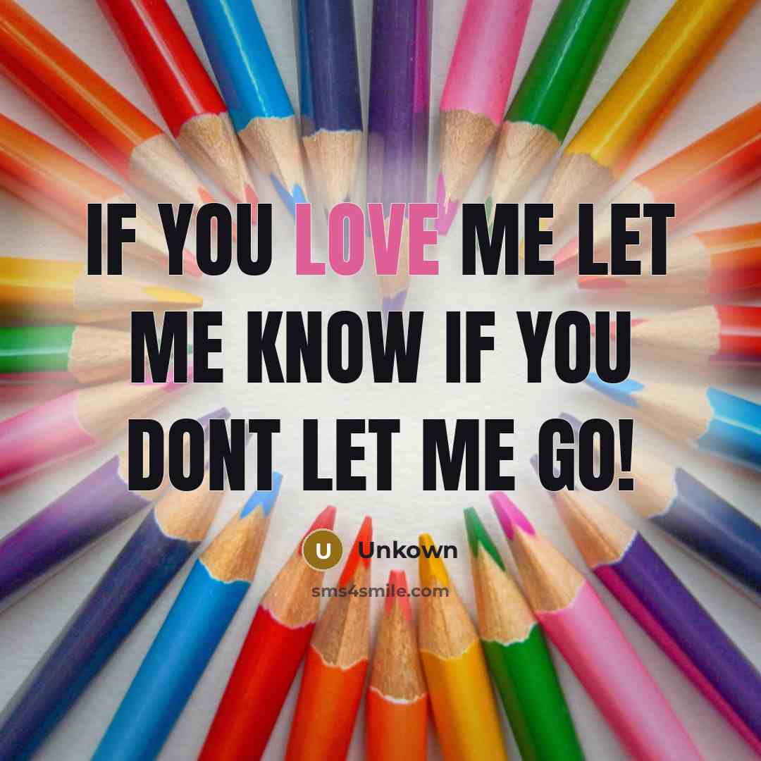 “If you love me let me know if you dont let me go!” quote by Unkown