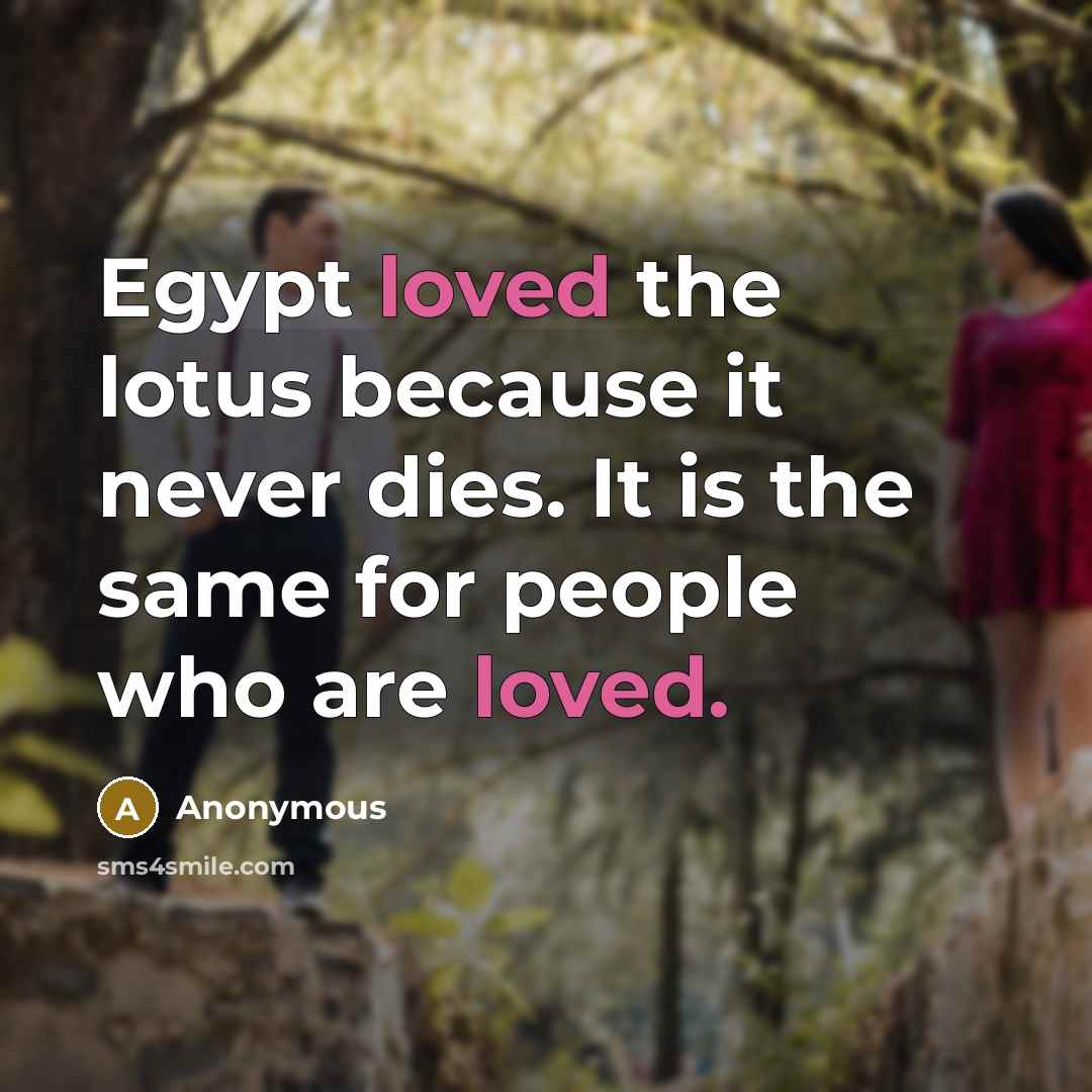 “Egypt loved the lotus because it never dies. It is…” quote by Anonymous