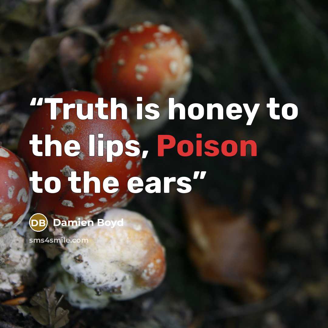 “Truth is honey to the lips, Poison to the ears” quote by Damien Boyd