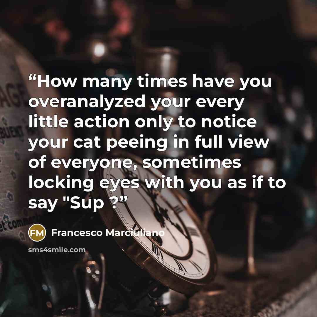 “How many times have you overanalyzed your every little action only to notice your cat peeing in full view of everyone, sometimes locking eyes with you as if to say "Sup ?” quote by Francesco Marciuliano