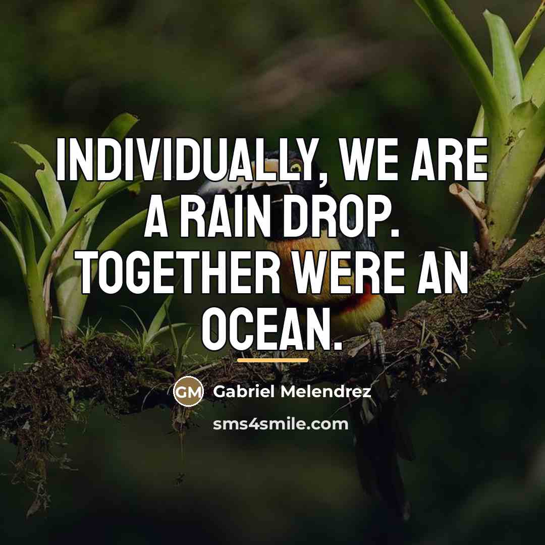 “Individually, we are a rain drop. together were an ocean.…” quote by Anonymous