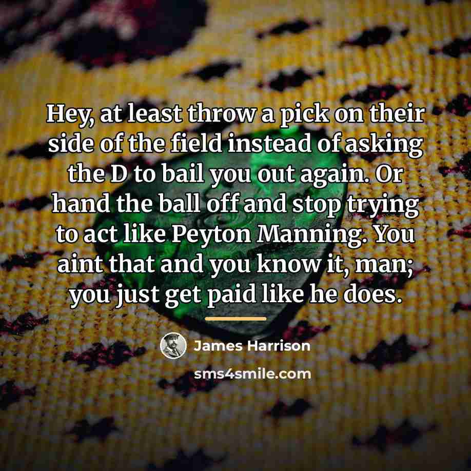 “Hey, at least throw a pick on their side of…” quote by James Harrison