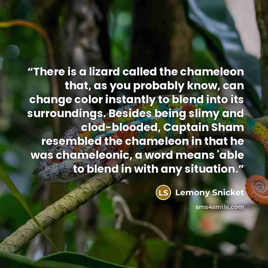 “There is a lizard called the chameleon that, as you probably know, can change color instantly to blend into its surroundings. Besides being slimy and clod-blooded, Captain Sham resembled the chameleon in that he was chameleonic, a word means 'able to blend in with any situation.” quote by Lemony Snicket