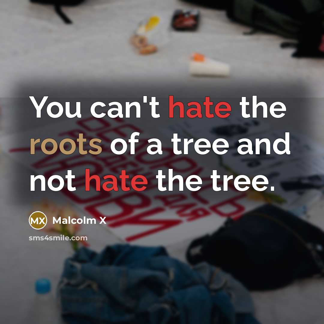 “You can't hate the roots of a tree and not…” quote by Malcolm X