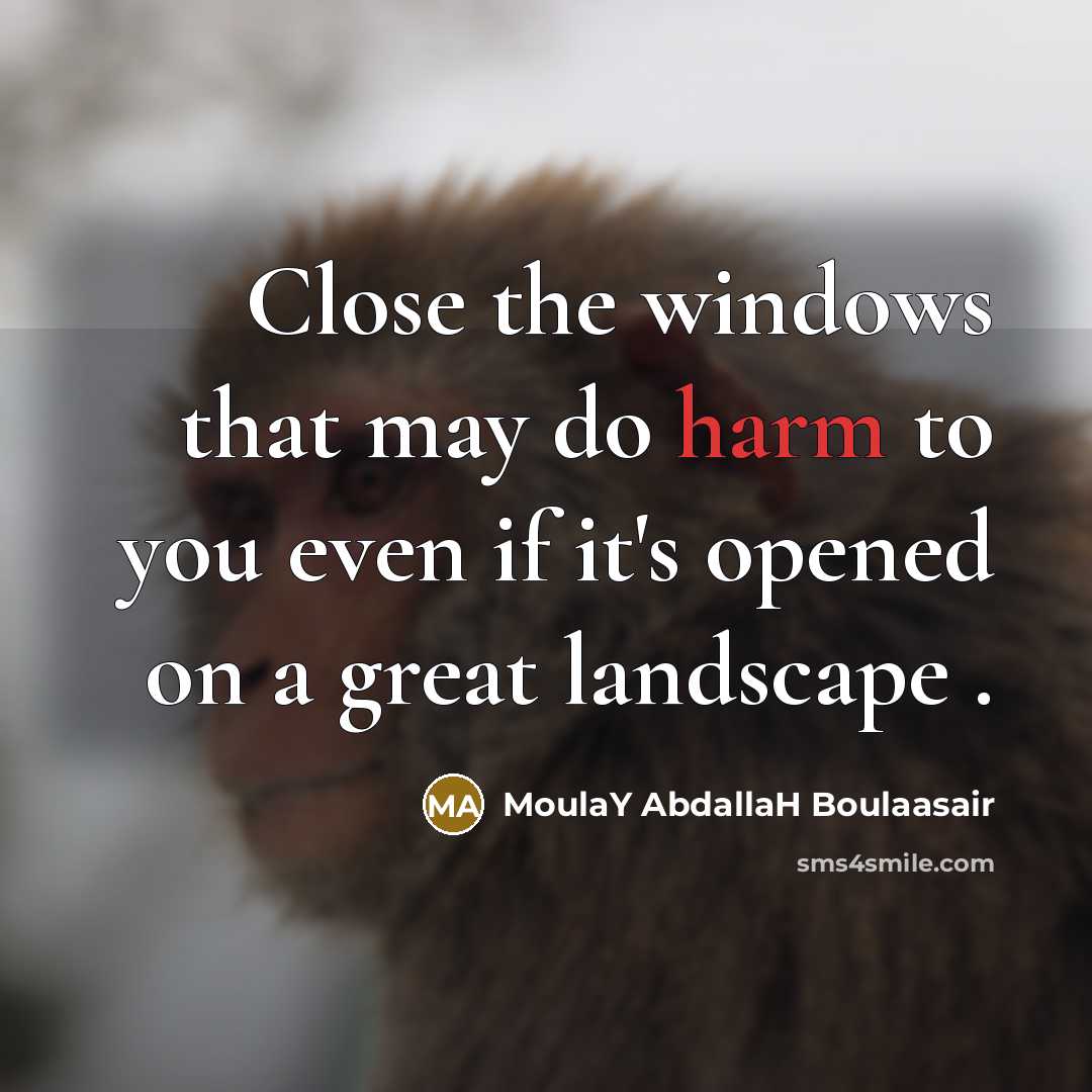 “Close the windows that may do harm to you even…” quote by MoulaY AbdallaH Boulaasair