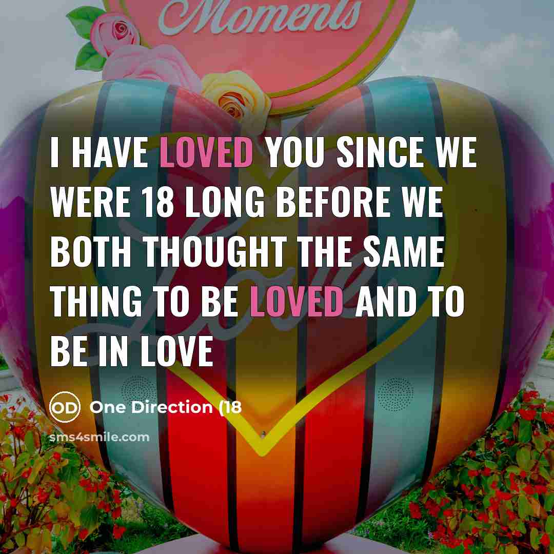 “I have loved you since we were 18 Long before…” quote by One Direction (18