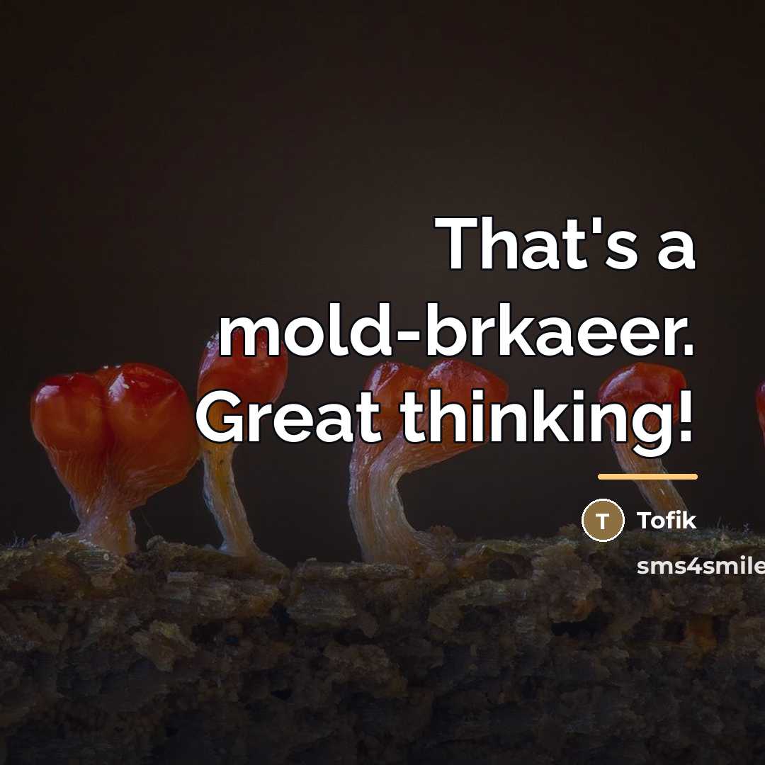 “That's a mold-brkaeer. Great thinking!…” quote by Tofik