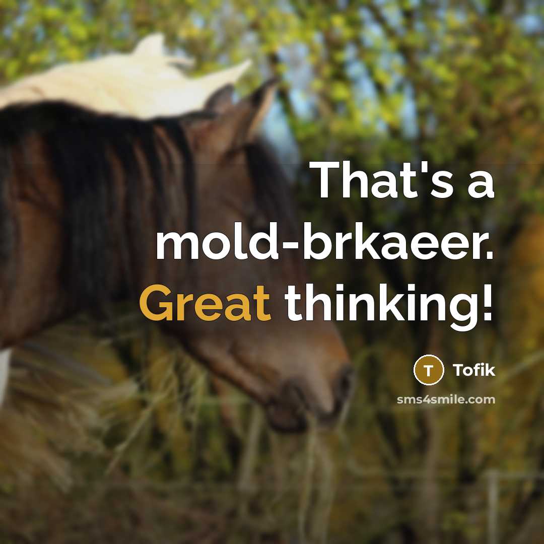 “That's a mold-brkaeer. Great thinking!” quote by Tofik