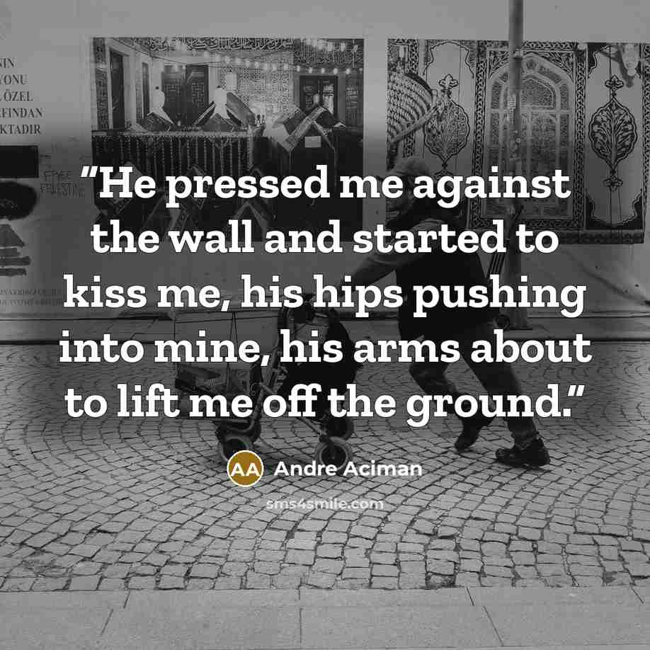 “He pressed me against the wall and started to kiss me, his hips pushing into mine, his arms about to lift me off the ground.” quote by André Aciman