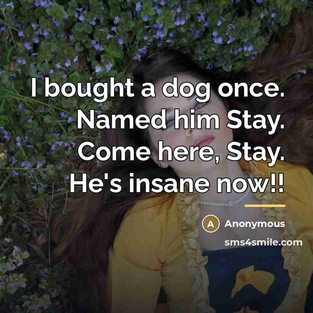 “I bought a dog once. Named him Stay. Come here,…” quote by Anonymous