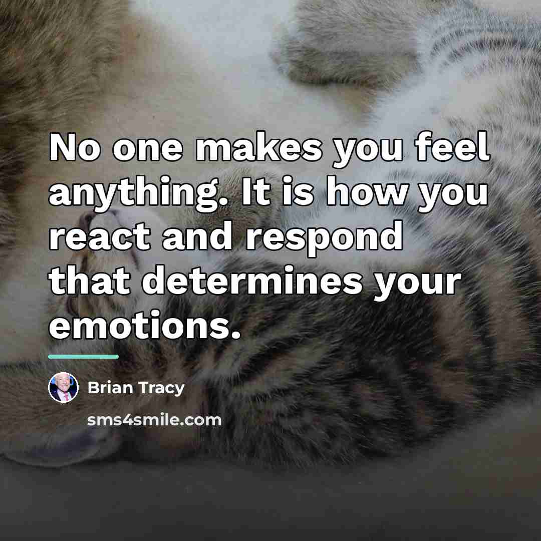 “No one makes you feel anything. It is how you…” quote by Brian Tracy