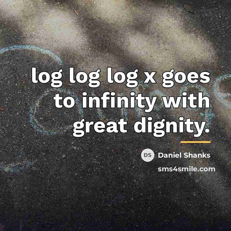 “log log log x goes to infinity with great dignity.…” quote by Daniel Shanks