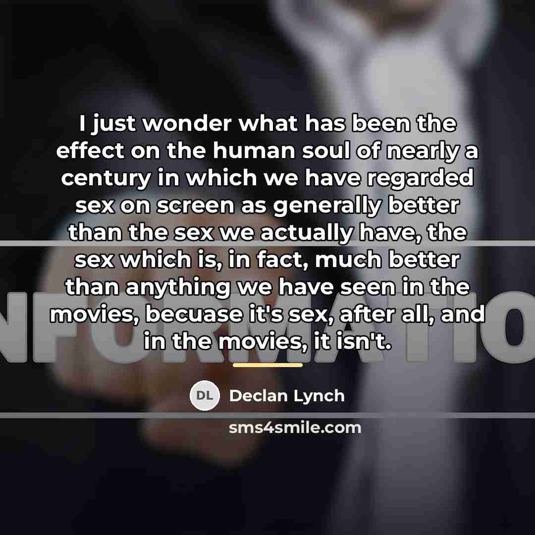 “I just wonder what has been the effect on the…” quote by Declan Lynch